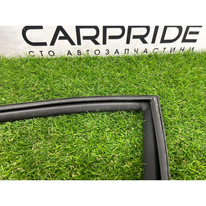 Форточка двери (кузов и элементы) Hyundai Ioniq AE 2019 Electro 83427G2020