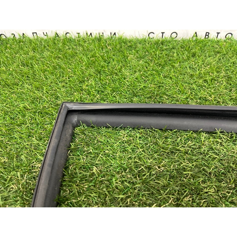 Форточка двери (кузов и элементы) Hyundai Ioniq AE 2019 Electro 83427G2020