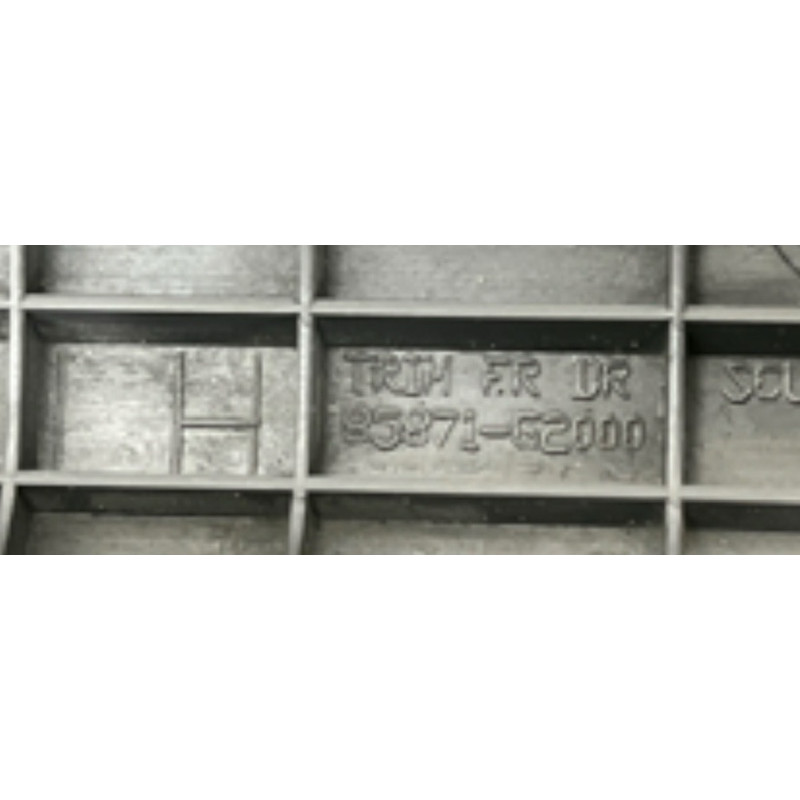 Накладка на порог (кузов и элементы) Hyundai Ioniq AE 2021 1.6 Hybrid 85870G2000T9Y