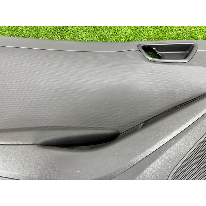 Дверная карта (салон) Hyundai Ioniq AE 2019 Electro 83307G2110T9Y