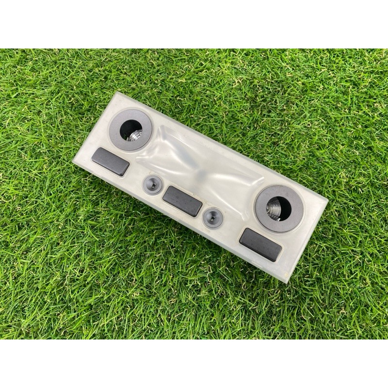 Плафон салона (салон) BMW 7-series E65 N62B44 63.31-8379699