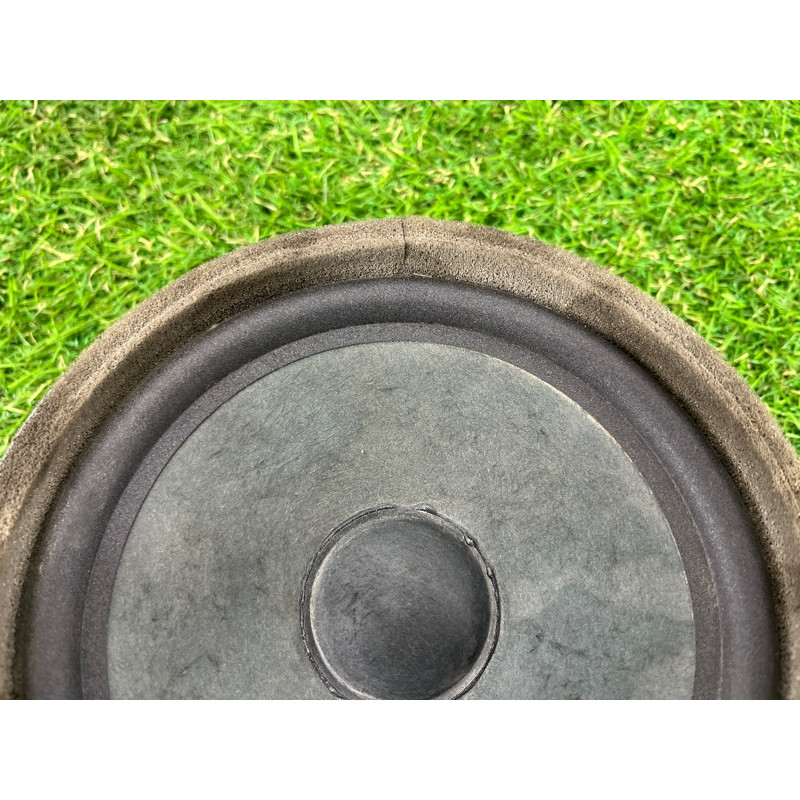 Динамик (электрика) Hyundai Ioniq AE 2019 Electro 96330F2100