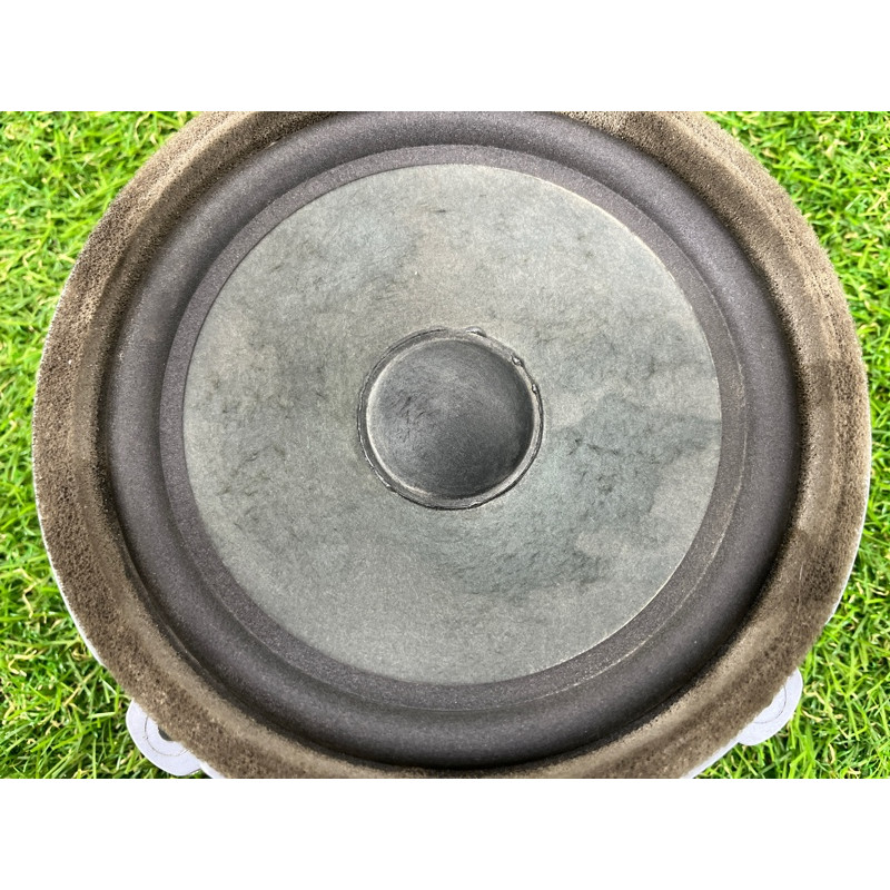 Динамик (электрика) Hyundai Ioniq AE 2019 Electro 96330F2100