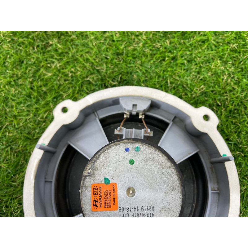 Динамик (электрика) Hyundai Ioniq AE 2019 Electro 96330F2100