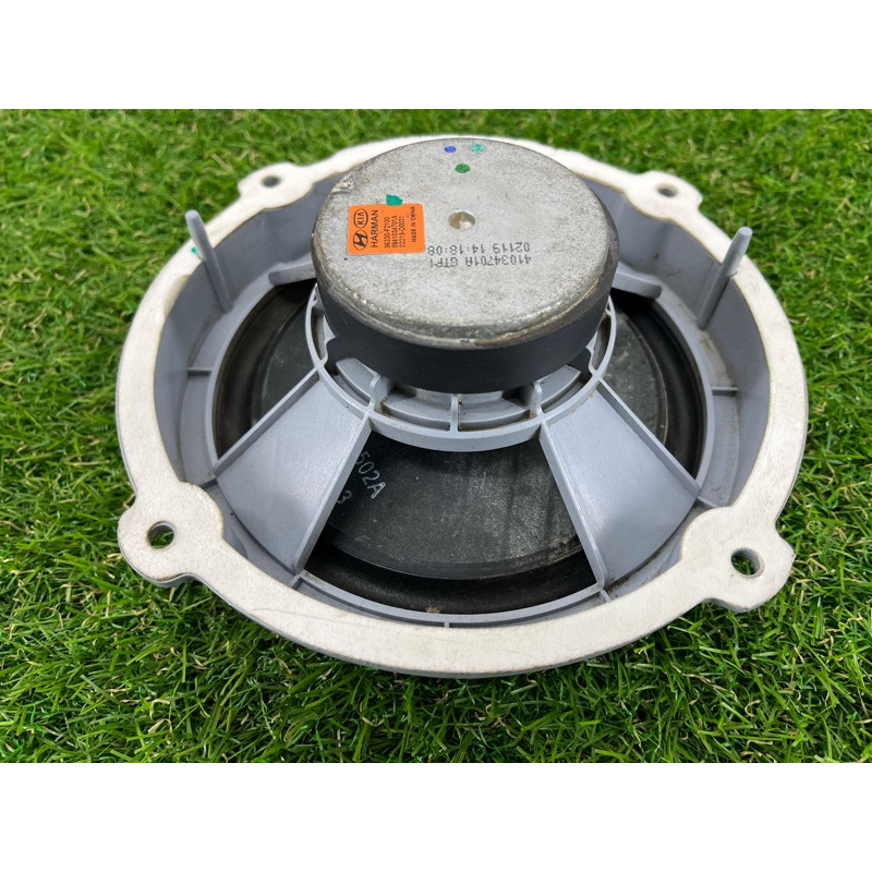 Динамик (электрика) Hyundai Ioniq AE 2019 Electro 96330F2100
