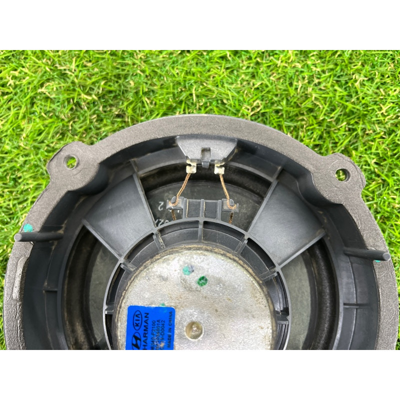 Динамик (электрика) Hyundai Ioniq AE 2019 Electro 96340F2100