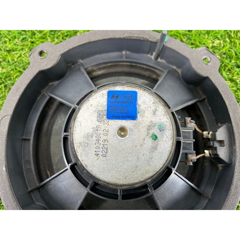 Динамик (электрика) Hyundai Ioniq AE 2019 Electro 96340F2100