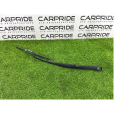 Поводок дворника