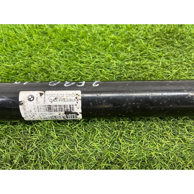 Амортизатор (подвеска) BMW 3-series F30 2013 N47D20 33526791568