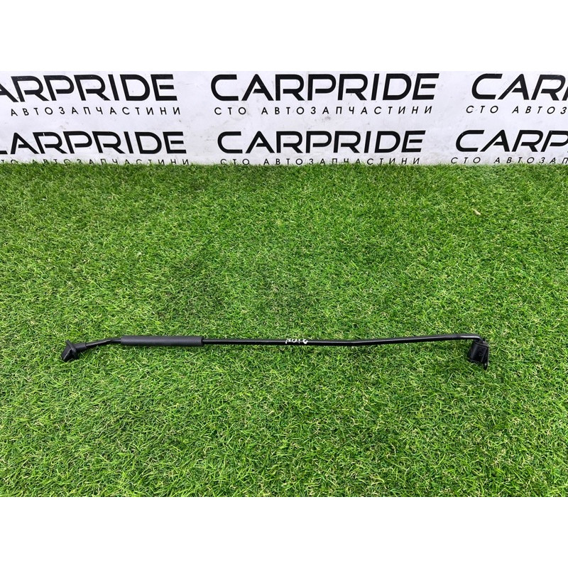 Упор капота (кузов и элементы) Hyundai Ioniq AE 2019 Electro 81170G2000