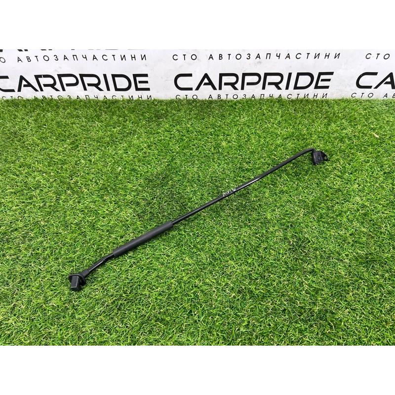 Упор капота (кузов и элементы) Hyundai Ioniq AE 2019 Electro 81170G2000