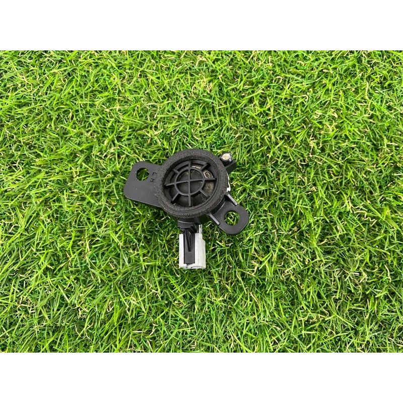 Динамик (электрика) Hyundai Ioniq AE 2019 Electro 96310G2100