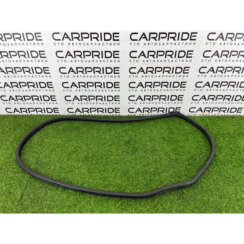 Уплотнитель проема двери (кузов и элементы) Hyundai Ioniq AE 2019 Electro 83110G2000