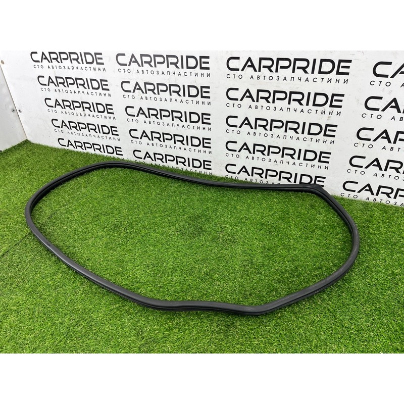 Уплотнитель проема двери (кузов и элементы) Hyundai Ioniq AE 2019 Electro 83110G2000