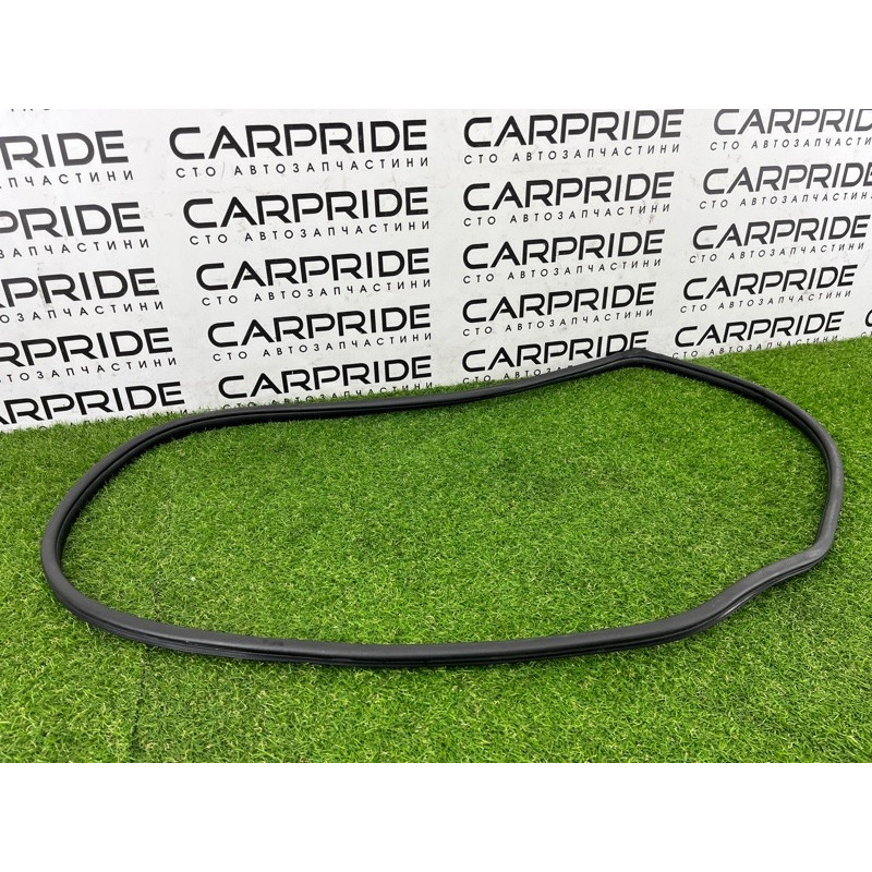 Уплотнитель проема двери (кузов и элементы) Hyundai Ioniq AE 2019 Electro 83110G2000