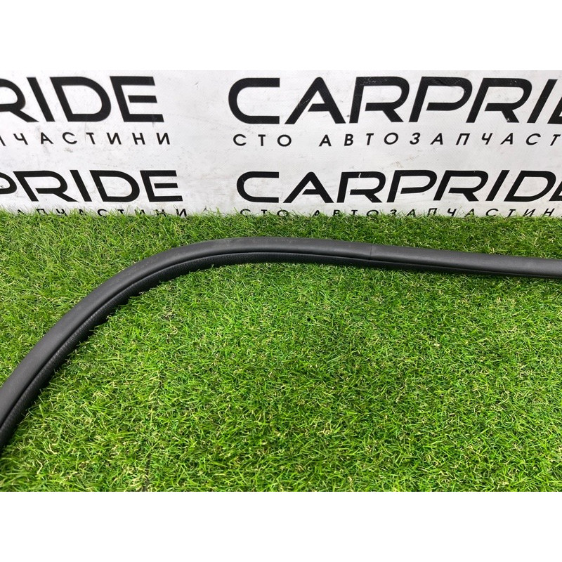 Уплотнитель проема двери (кузов и элементы) Hyundai Ioniq AE 2019 Electro 83110G2000