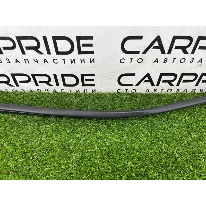 Уплотнитель проема двери (кузов и элементы) Hyundai Ioniq AE 2019 Electro 83110G2000