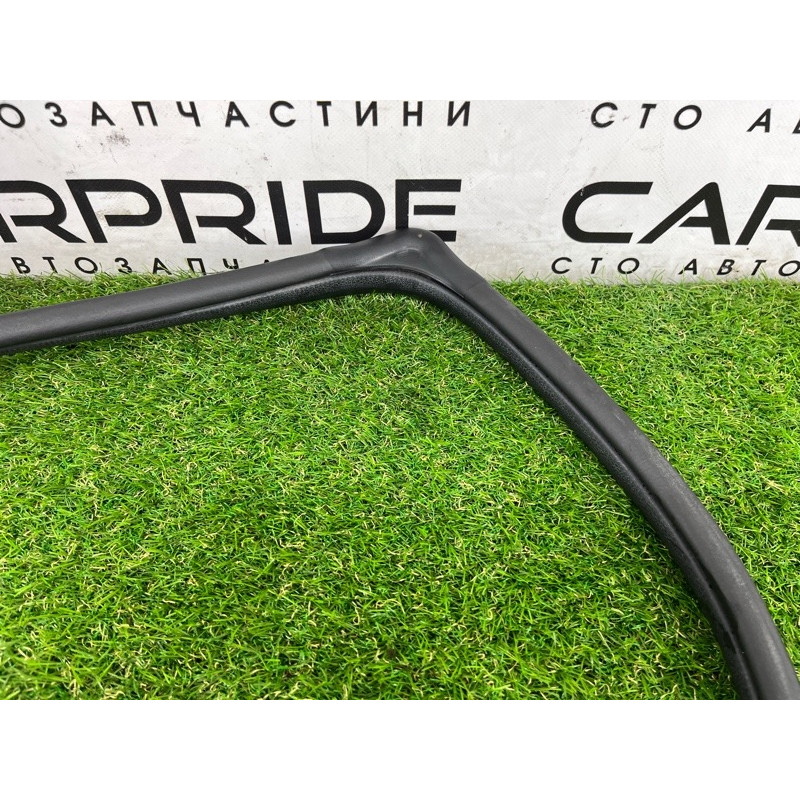 Уплотнитель проема двери (кузов и элементы) Hyundai Ioniq AE 2019 Electro 83110G2000