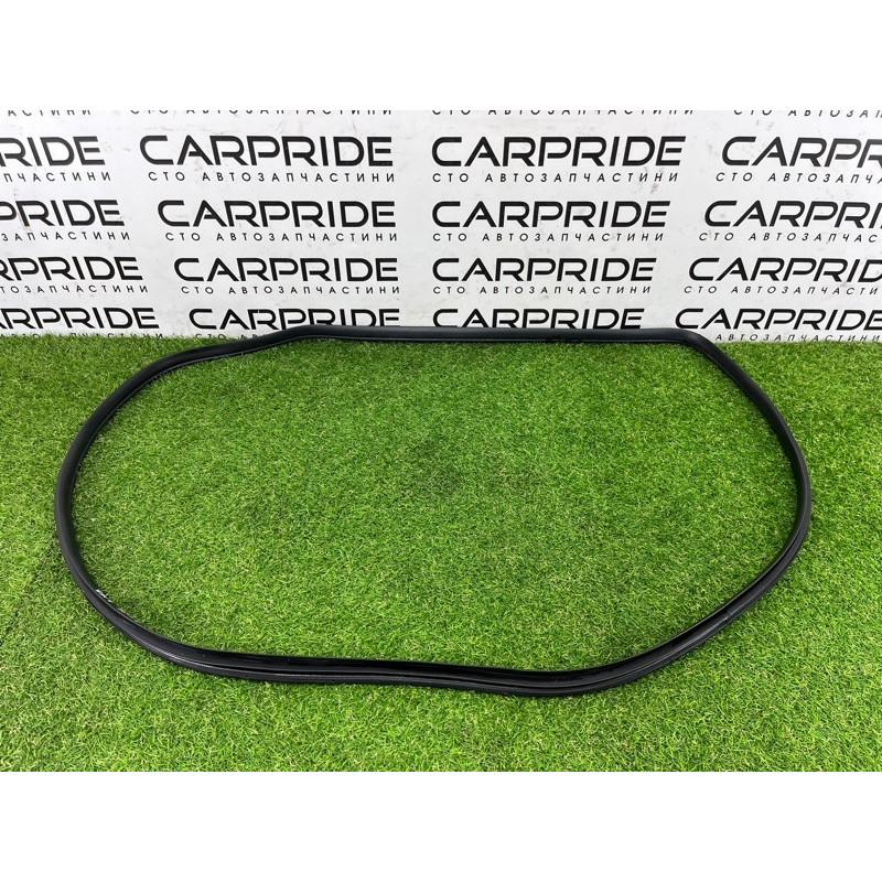 Уплотнитель проема двери (кузов и элементы) Hyundai Ioniq AE 2019 Electro 83110G2000