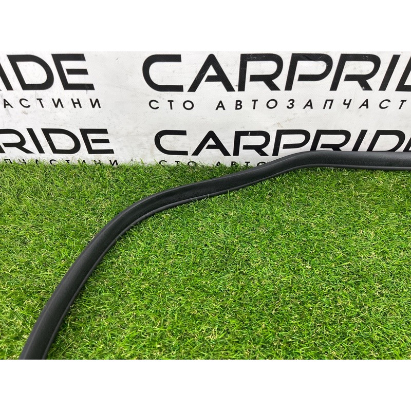 Уплотнитель проема двери (кузов и элементы) Hyundai Ioniq AE 2019 Electro 83110G2000