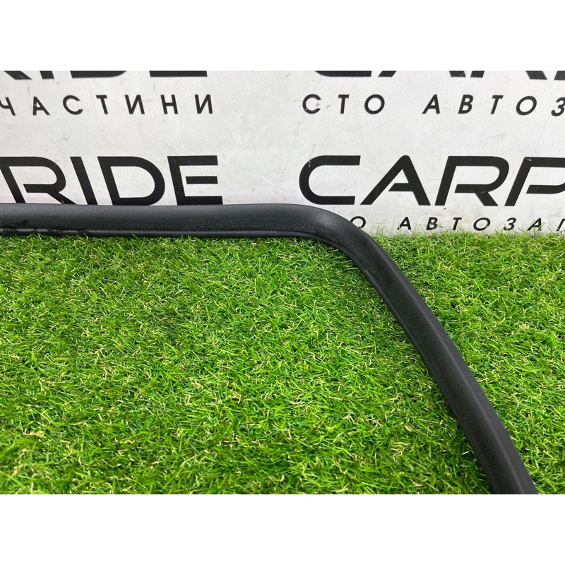 Уплотнитель проема двери (кузов и элементы) Hyundai Ioniq AE 2019 Electro 83110G2000