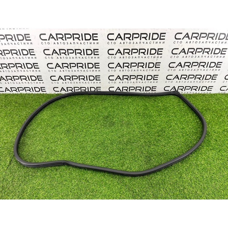 Уплотнитель проема двери (кузов и элементы) Hyundai Ioniq AE 2019 Electro 82120G2000