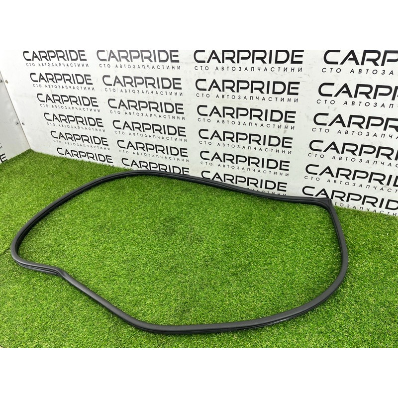 Уплотнитель проема двери (кузов и элементы) Hyundai Ioniq AE 2019 Electro 82120G2000