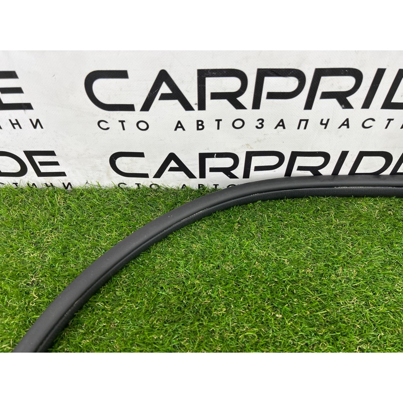 Уплотнитель проема двери (кузов и элементы) Hyundai Ioniq AE 2019 Electro 82120G2000