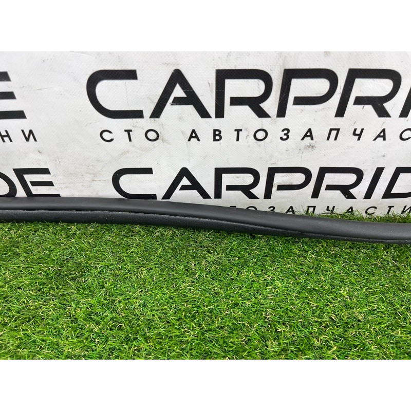 Уплотнитель проема двери (кузов и элементы) Hyundai Ioniq AE 2019 Electro 82120G2000