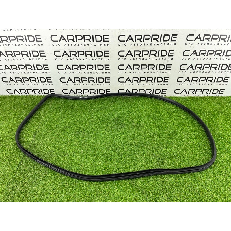 Уплотнитель проема двери (кузов и элементы) Hyundai Ioniq AE 2019 Electro 82120G2000