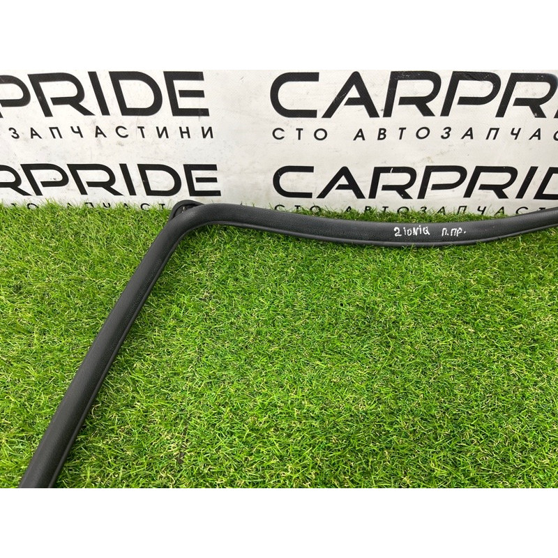 Уплотнитель проема двери (кузов и элементы) Hyundai Ioniq AE 2019 Electro 82120G2000