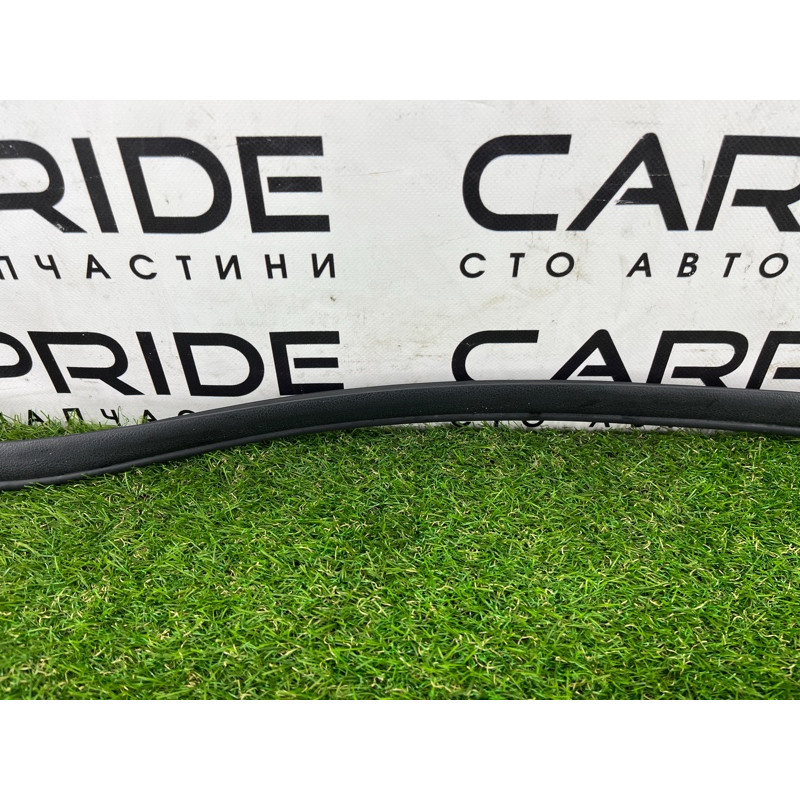 Уплотнитель проема двери (кузов и элементы) Hyundai Ioniq AE 2019 Electro 82120G2000