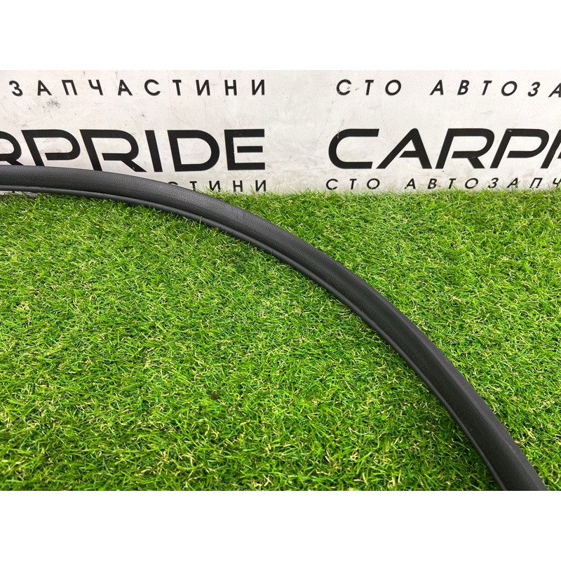 Уплотнитель проема двери (кузов и элементы) Hyundai Ioniq AE 2019 Electro 82120G2000