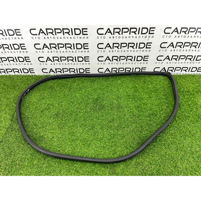 Уплотнитель проема двери (кузов и элементы) Hyundai Ioniq AE 2019 Electro 83120G2000