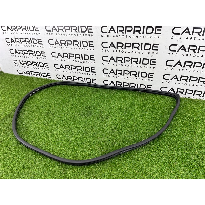 Уплотнитель проема двери (кузов и элементы) Hyundai Ioniq AE 2019 Electro 83120G2000