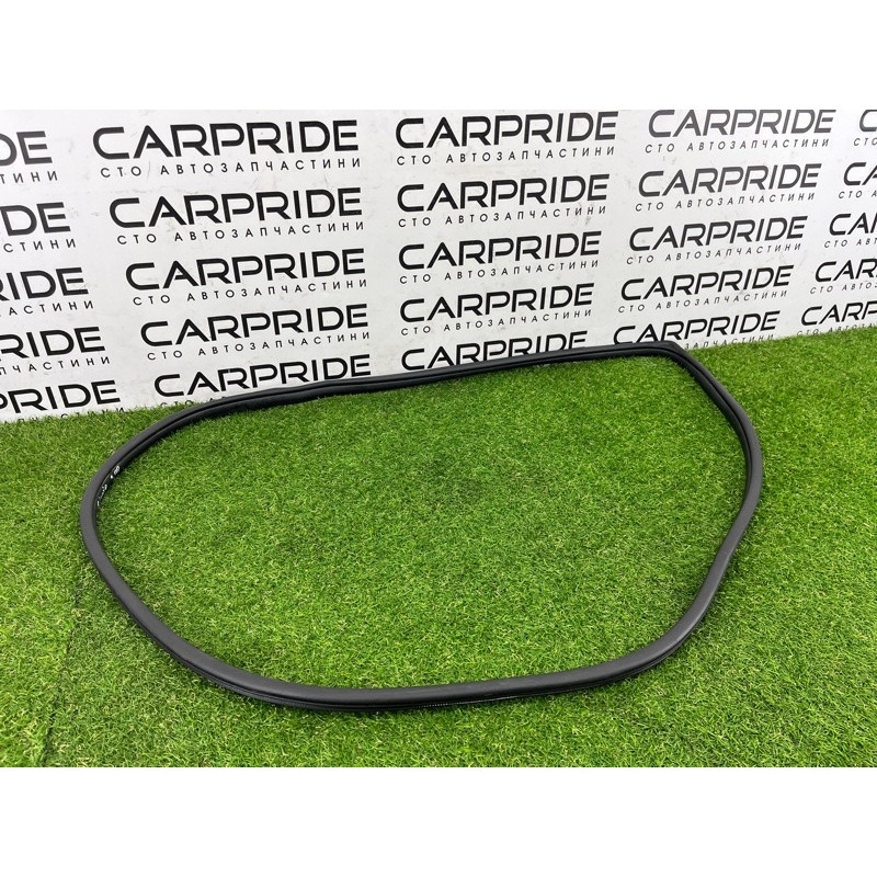 Уплотнитель проема двери (кузов и элементы) Hyundai Ioniq AE 2019 Electro 83120G2000