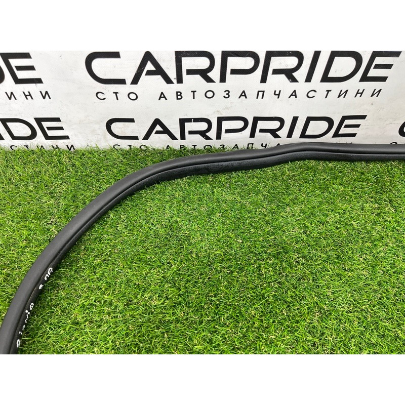 Уплотнитель проема двери (кузов и элементы) Hyundai Ioniq AE 2019 Electro 83120G2000