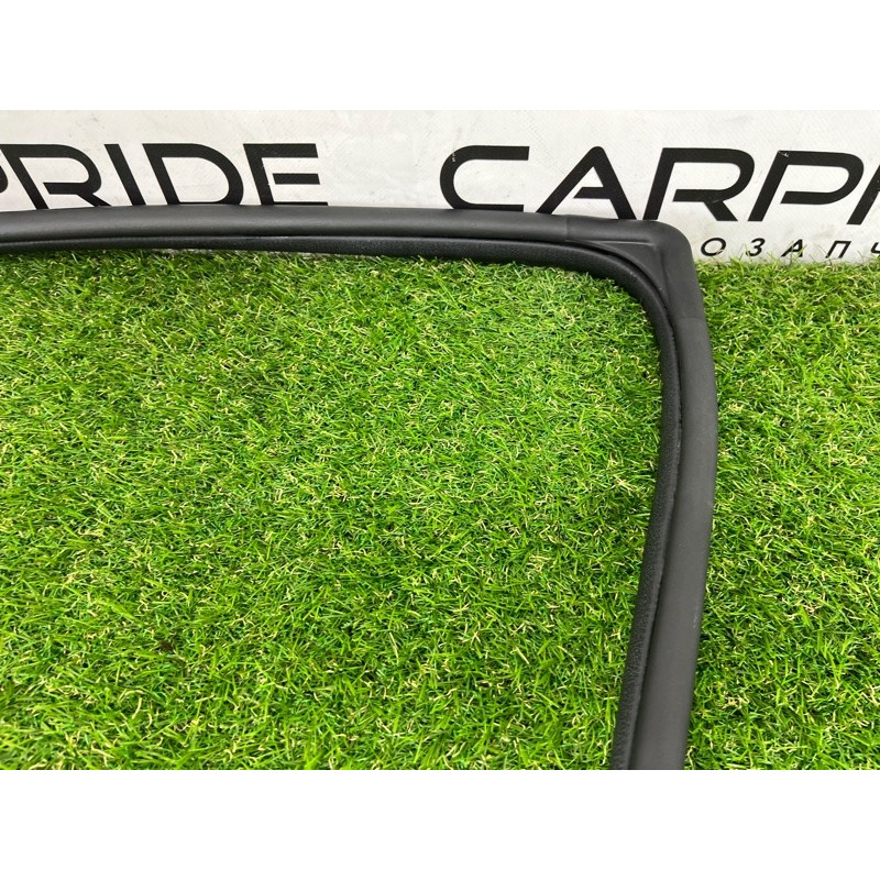 Уплотнитель проема двери (кузов и элементы) Hyundai Ioniq AE 2019 Electro 83120G2000