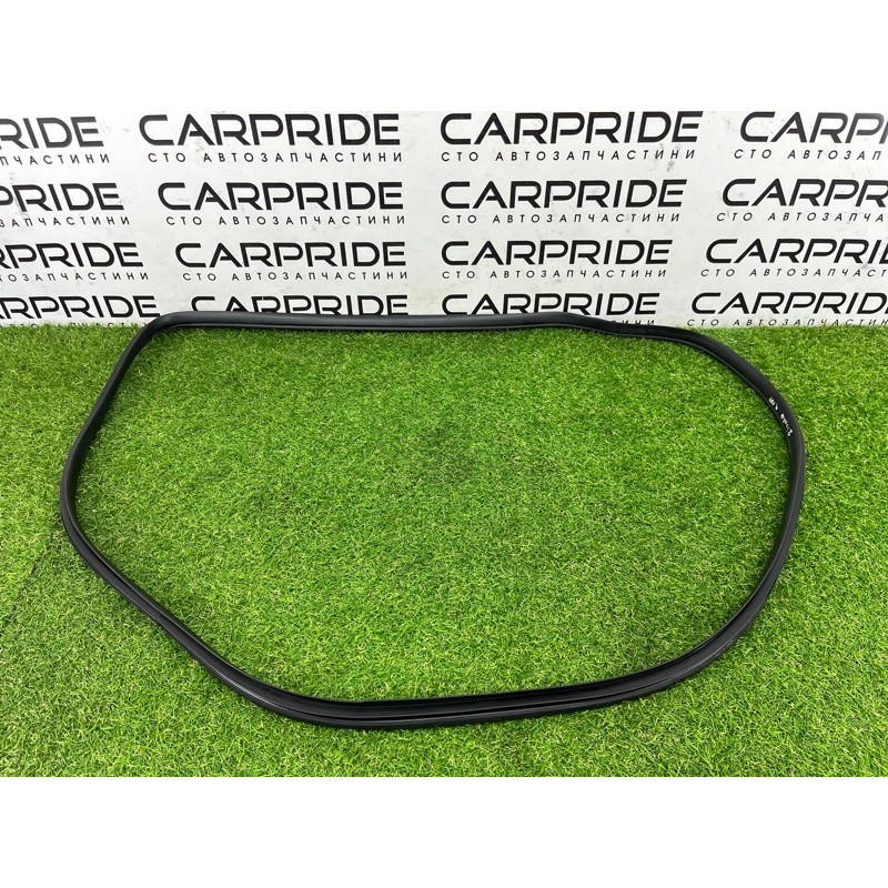 Уплотнитель проема двери (кузов и элементы) Hyundai Ioniq AE 2019 Electro 83120G2000