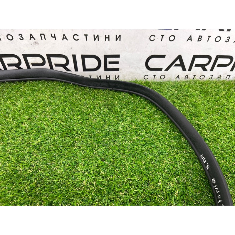 Уплотнитель проема двери (кузов и элементы) Hyundai Ioniq AE 2019 Electro 83120G2000