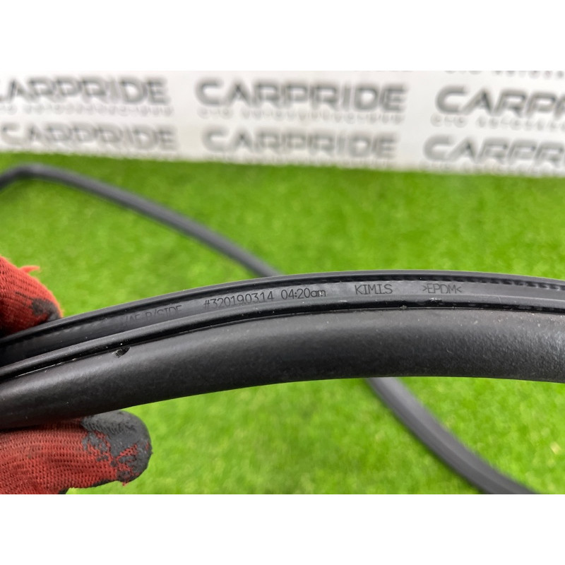 Уплотнитель проема двери (кузов и элементы) Hyundai Ioniq AE 2019 Electro 83120G2000