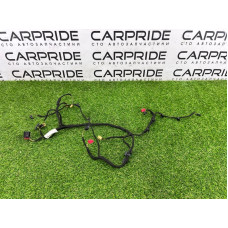 Проводка дверная