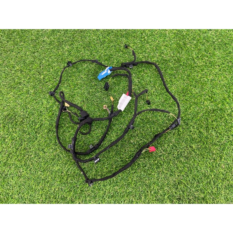 Проводка дверная (электрика) AUDI Q7 4M 2017 3.0 TFSi CREC 4M0971036CP