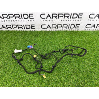 Проводка дверная