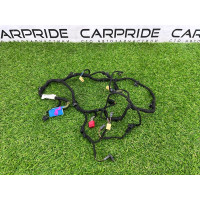 Проводка дверная