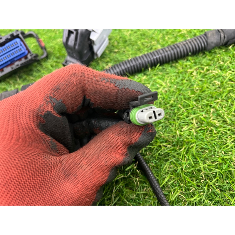 Проводка моторная (электрика двигателя) CHEVROLET Cruze J300 2011 1.4 13346846