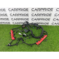 Проводка моторная