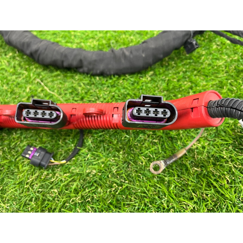 Проводка моторная (электрика двигателя) AUDI Q7 4M 2018 3.0 TFSi 06E971595AB