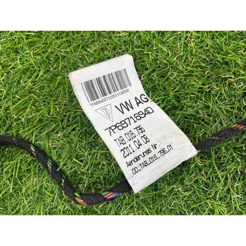Проводка дверна (електрика) Volkswagen Touareg NF 2012 3.6 7P6971694F