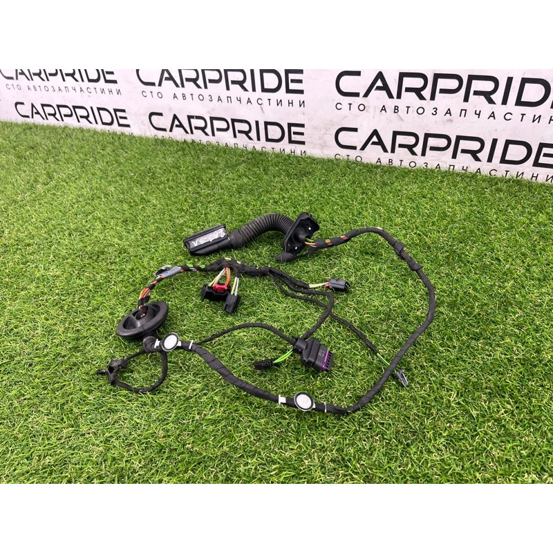 Проводка дверная (электрика) AUDI A3 8V 2018 2.0 CZRA 8V5971687A